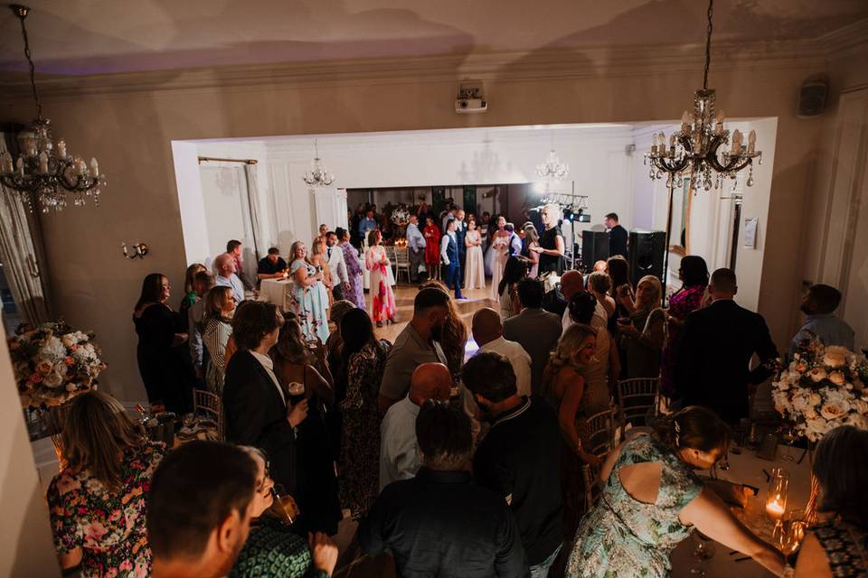 Packed dandefloor