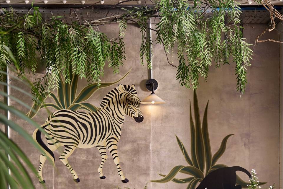 Chic Surroundings
