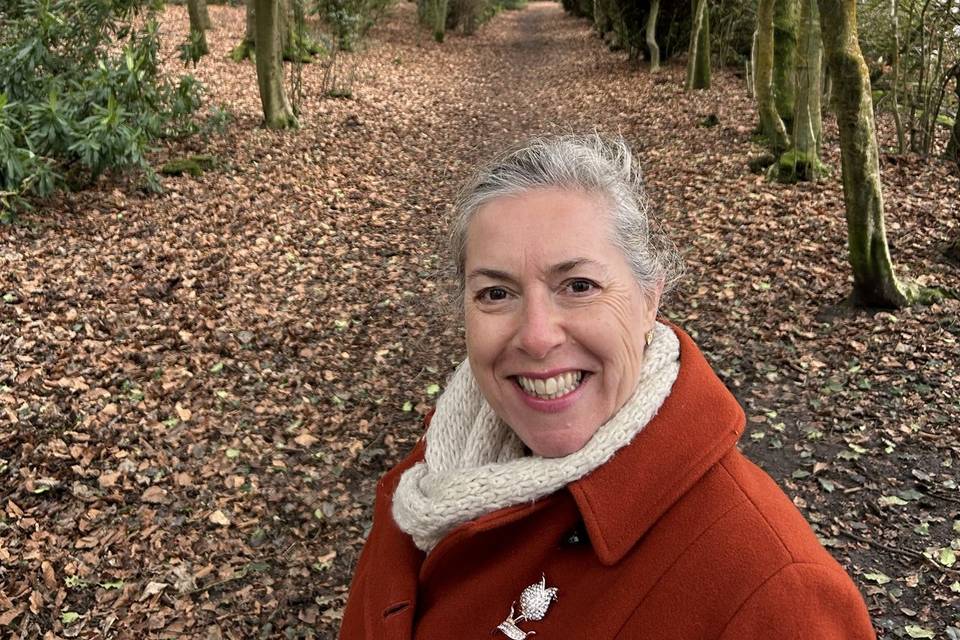 Autumn in the woods...