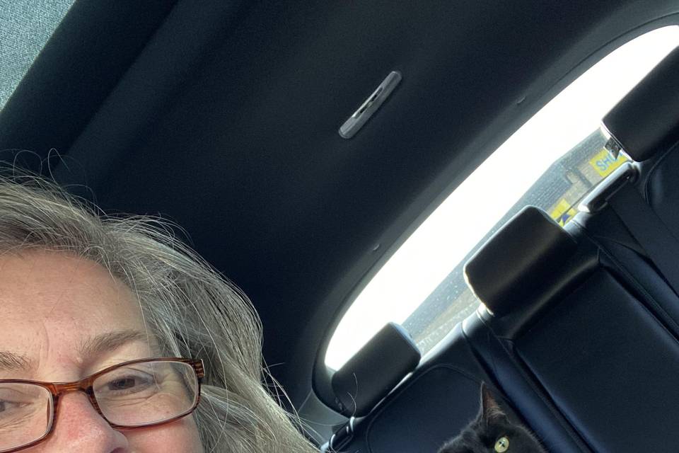 It’s true… I’m a cat lady!