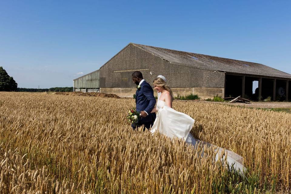 Wheat fields