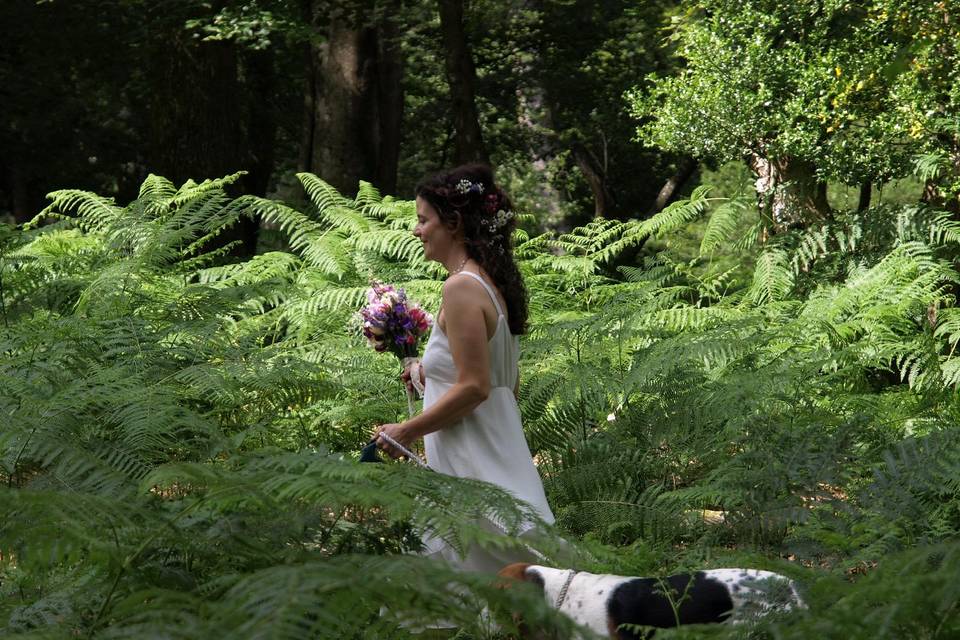 Wedding in the woods