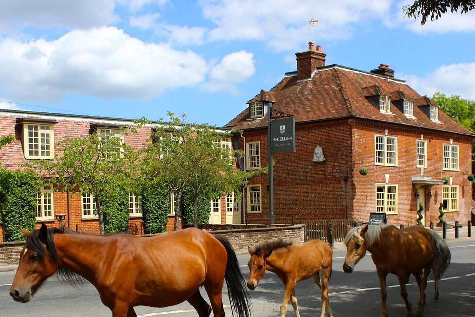 The Bell Inn, New Forest