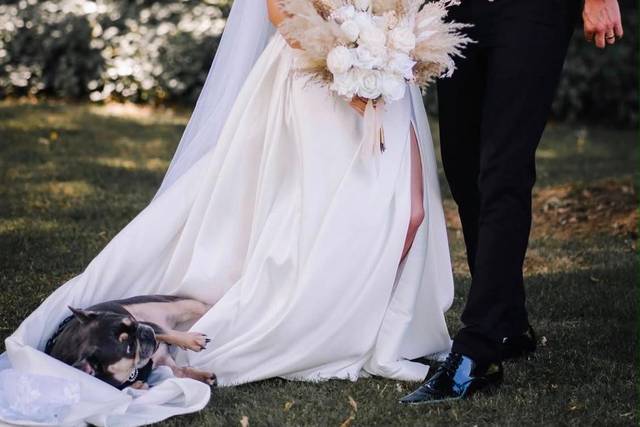 Love, laughter & paws