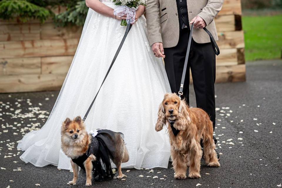 Their special day too