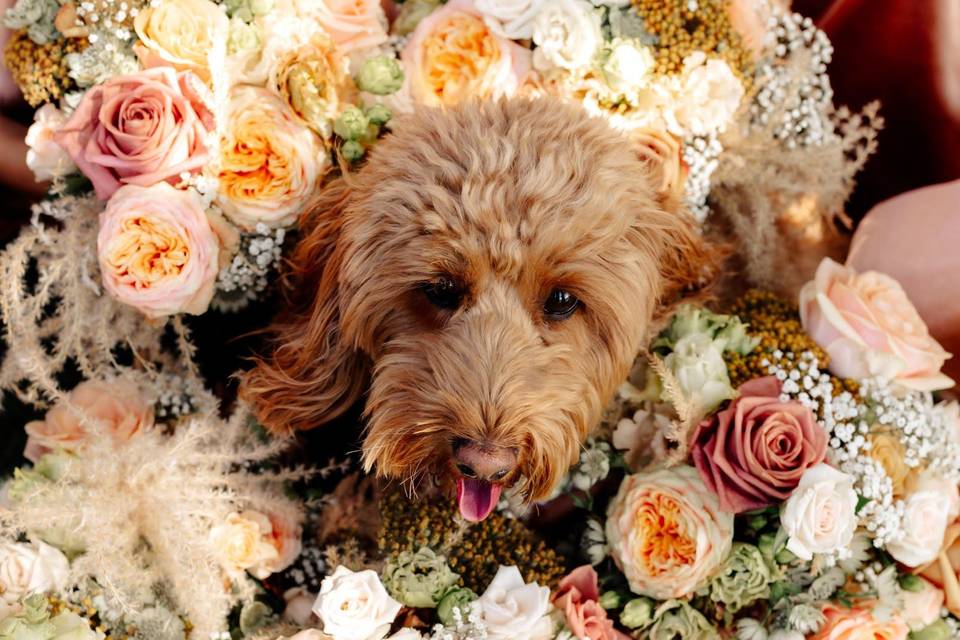 A floral moment for the VIP