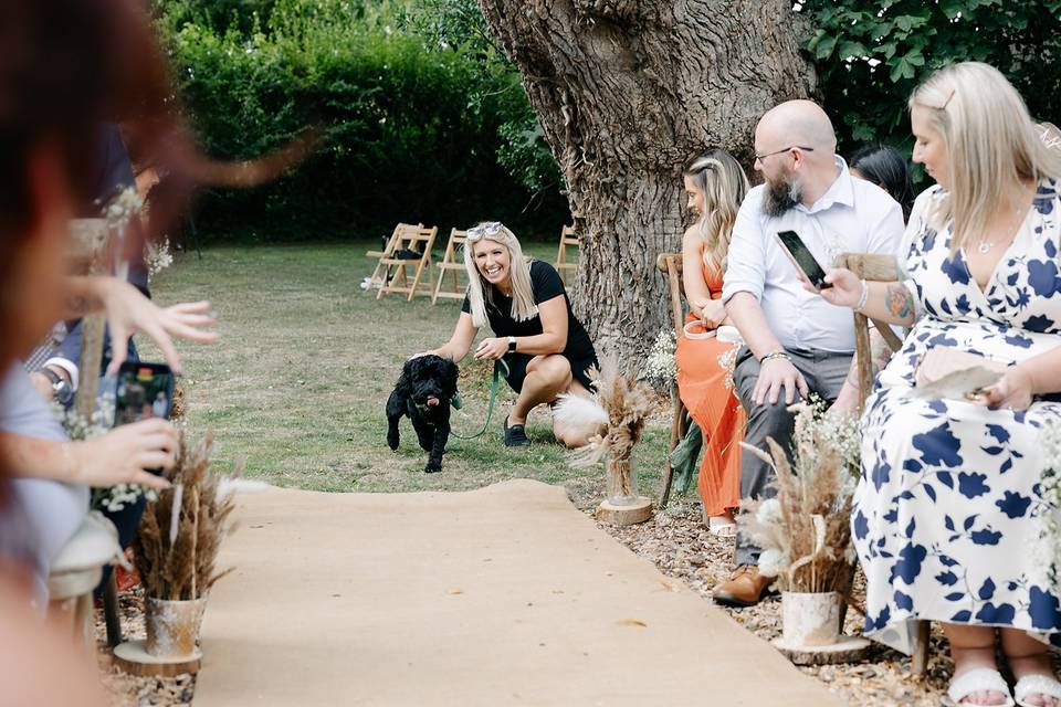 Pet friendly weddings