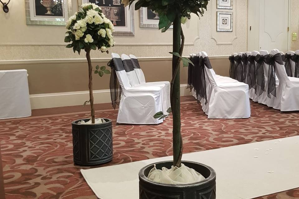 Rose tree hire