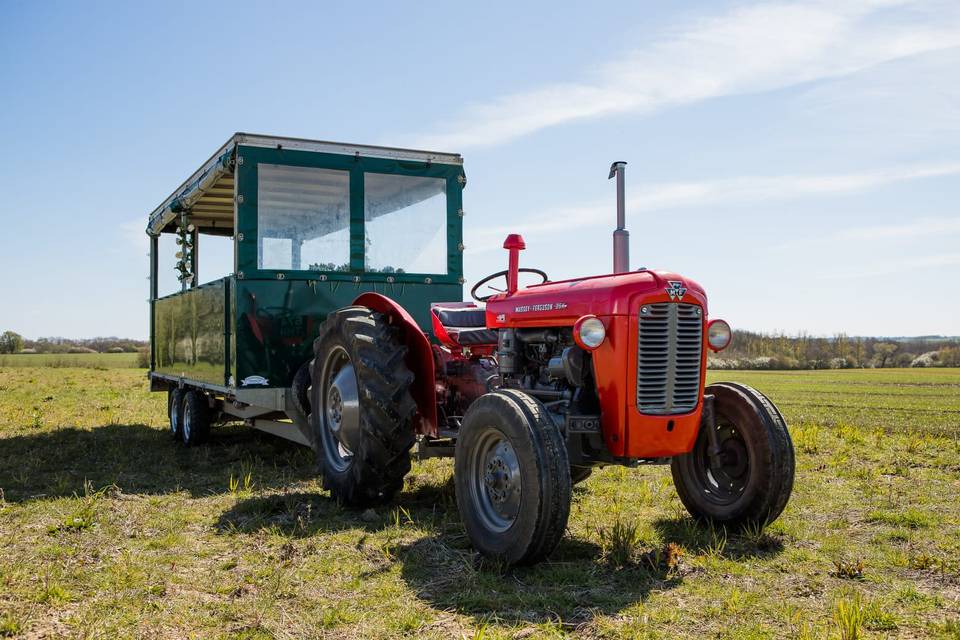 Maisie the Massie transport