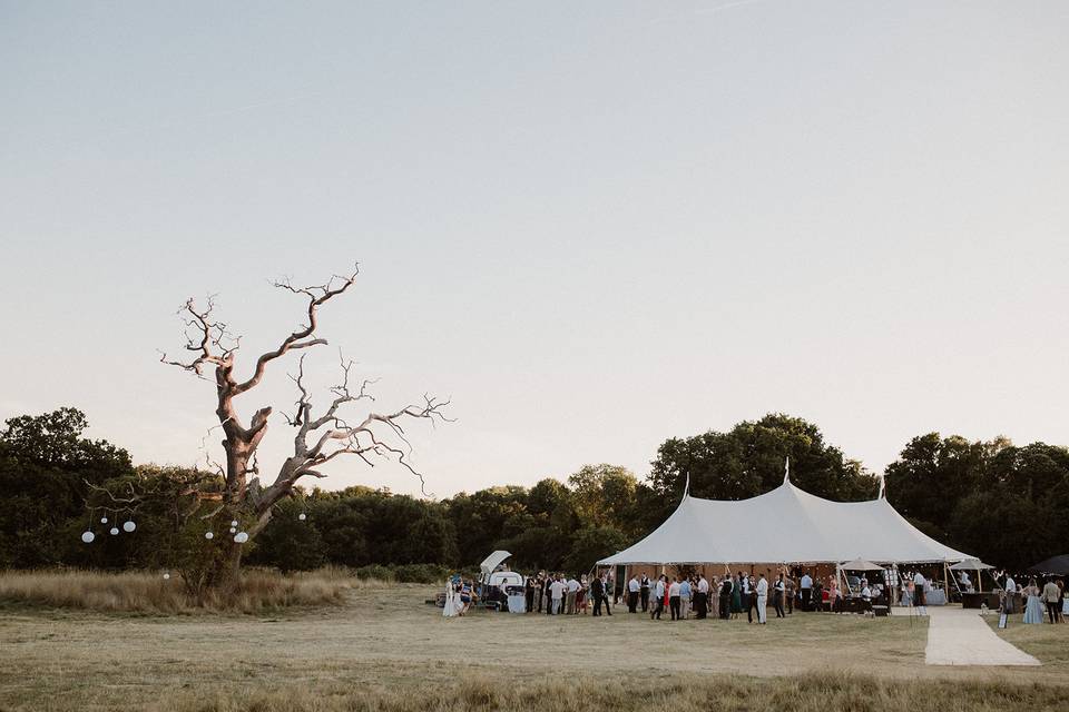 Sperry Tent field wedding