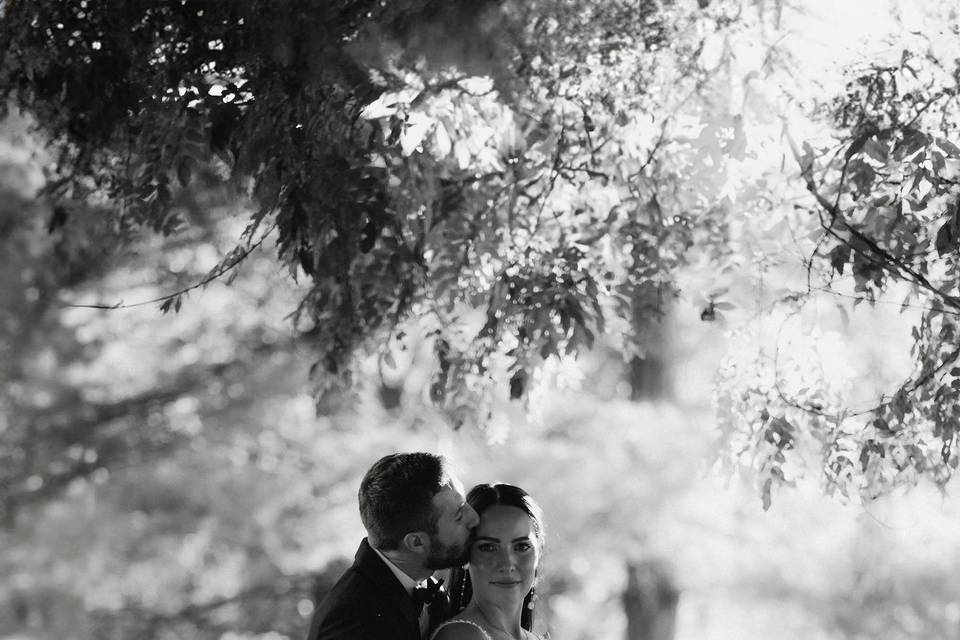 Timeless embrace