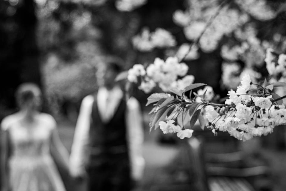 Pat Coniam Photography