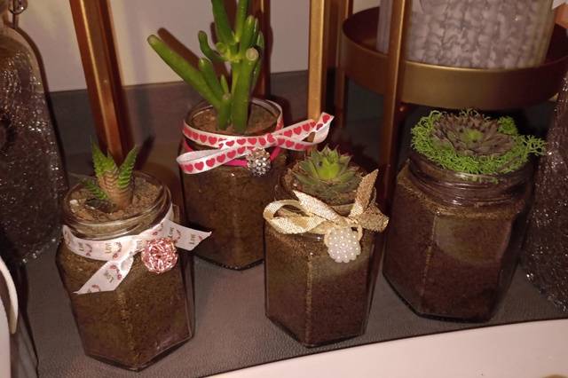 Succulent favours