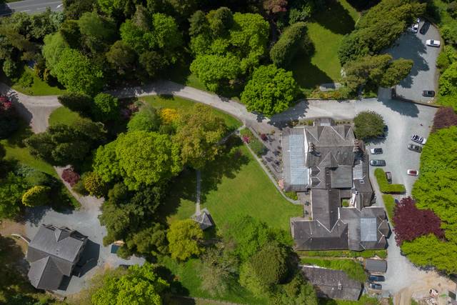 Briery from above