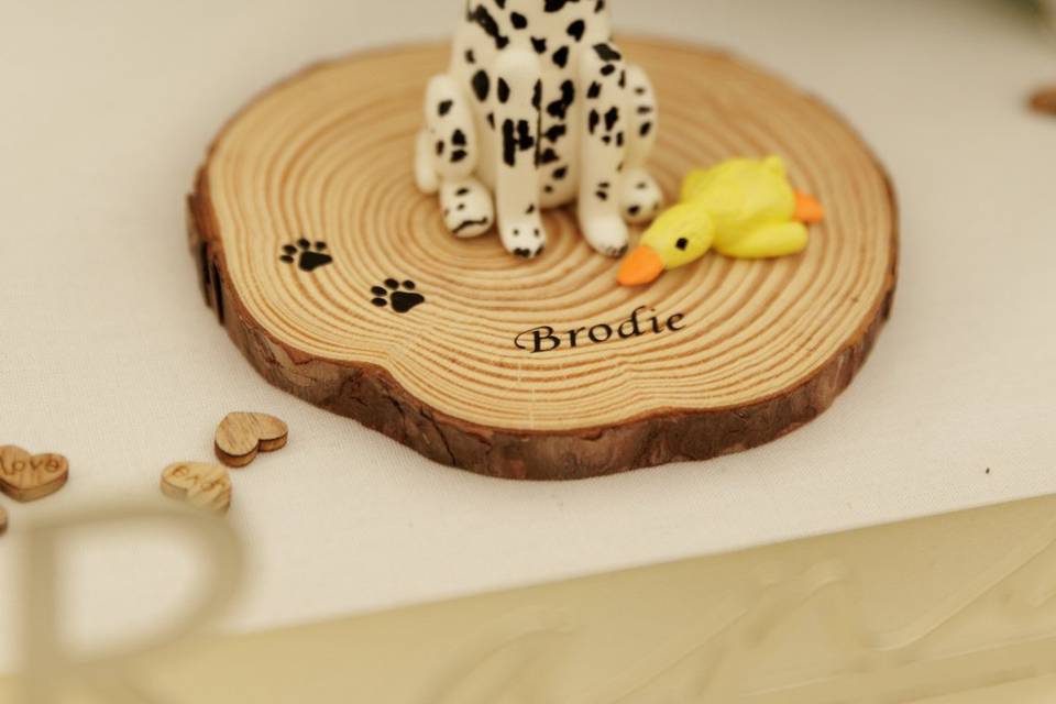 Dorset Wedding Details