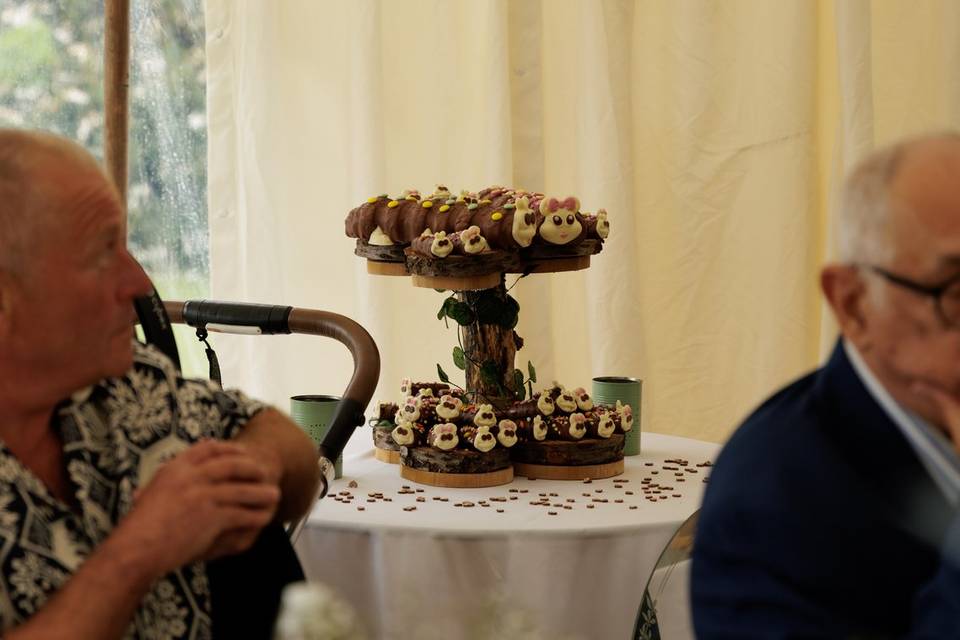 Dorset Wedding Details