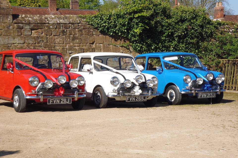 Italian Job Mini Hire