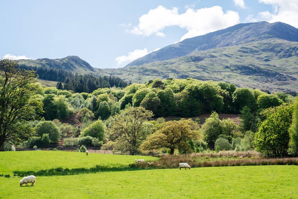 View from Ty Afon