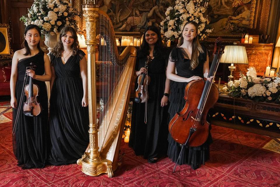 Wedding string quartet