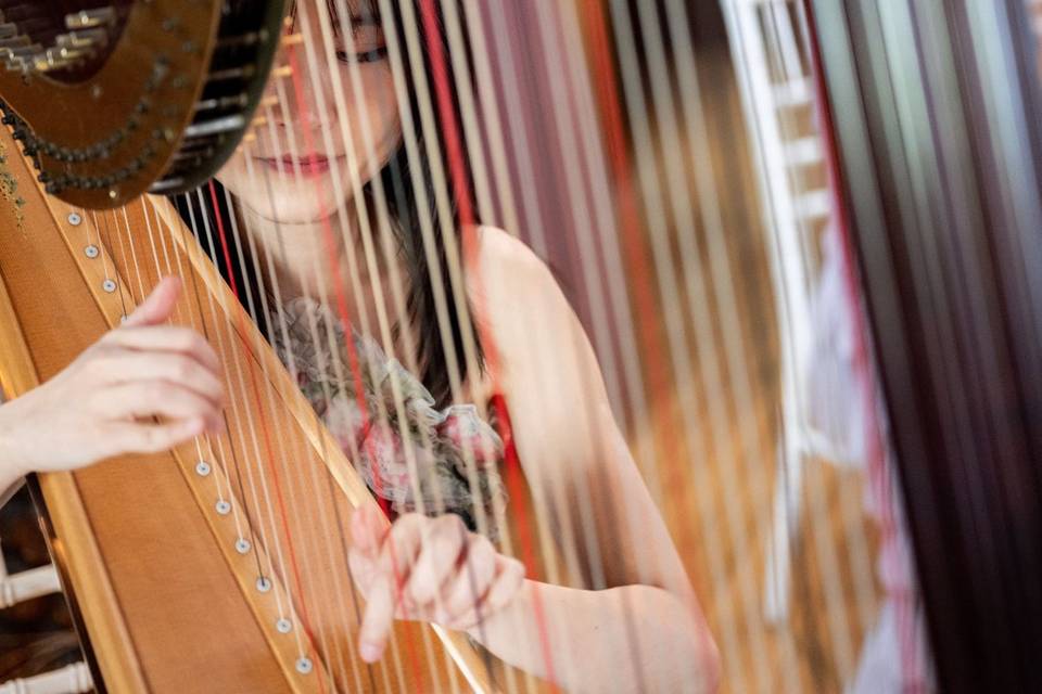 Harpist london