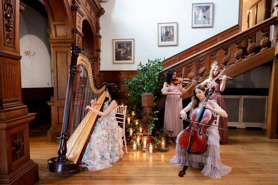Geneviève harp and strings