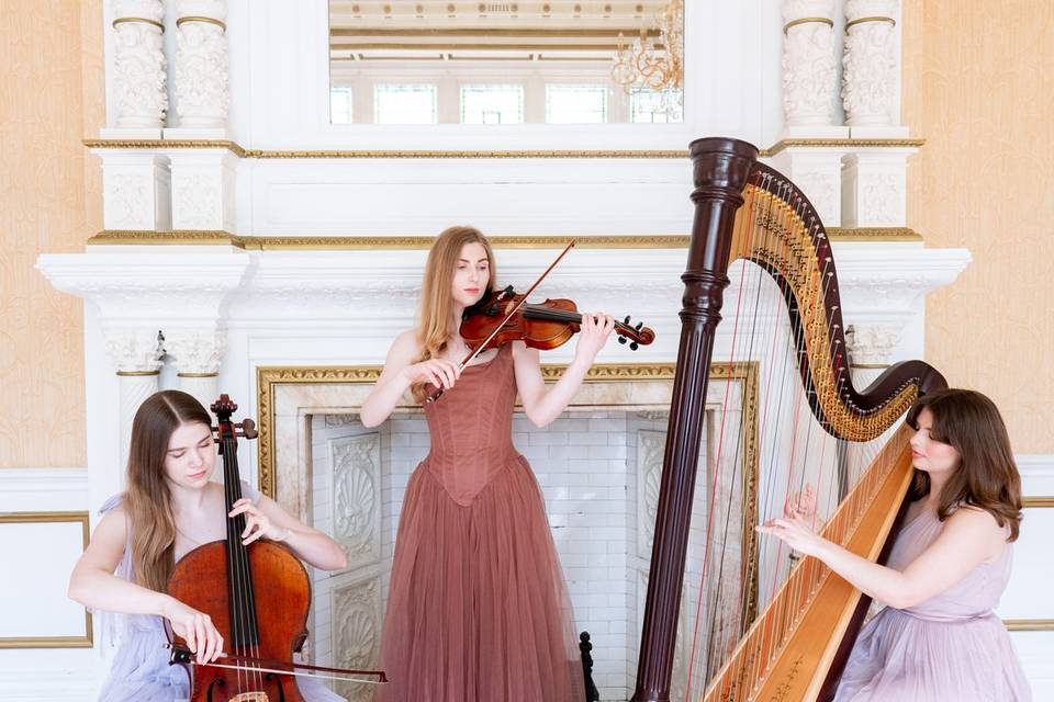 String trio uk