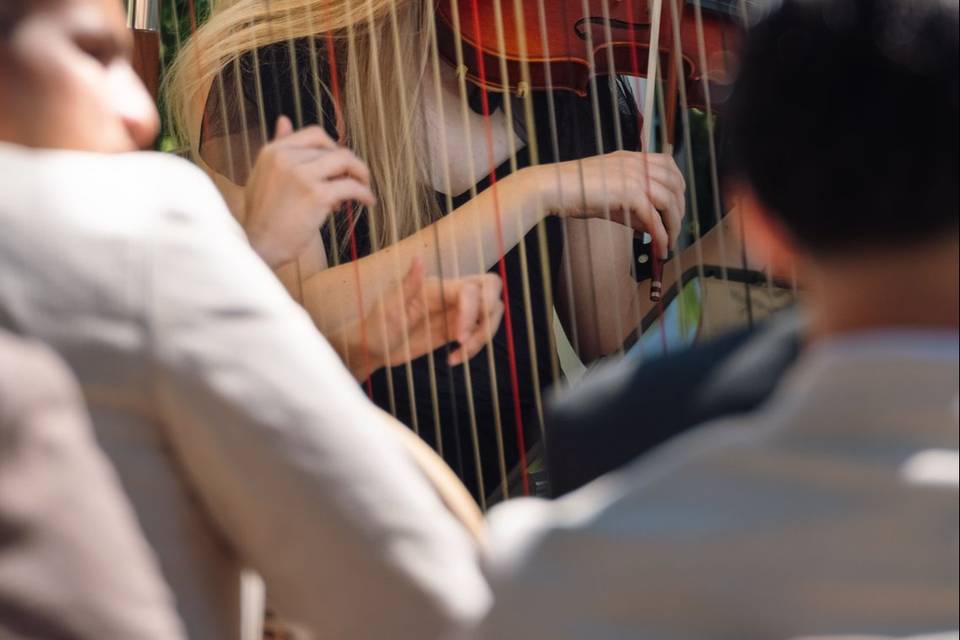 Wedding musician sopwell house