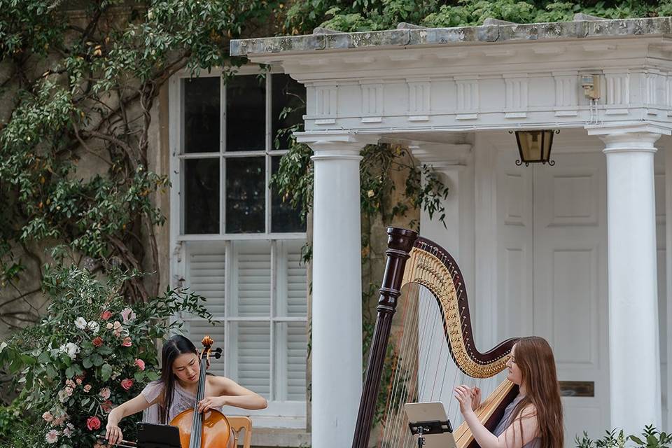 Harp and cello for wedding