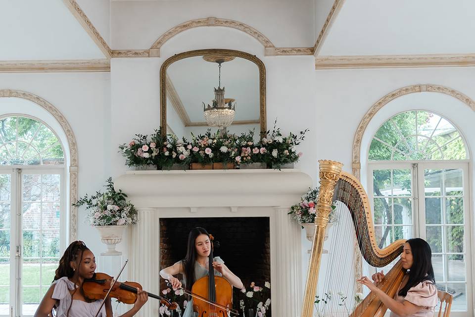 String trio northbrook park