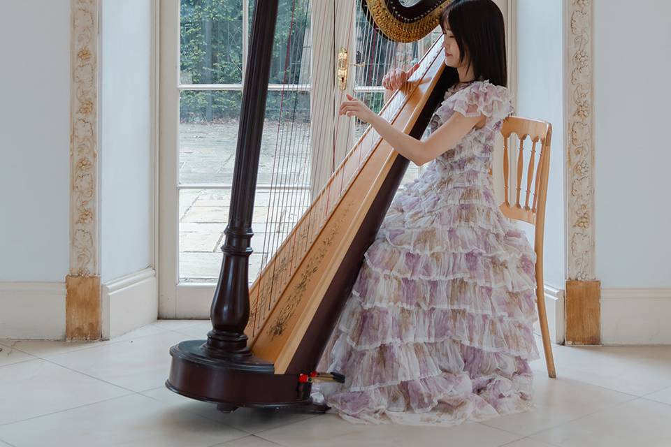 London harpist