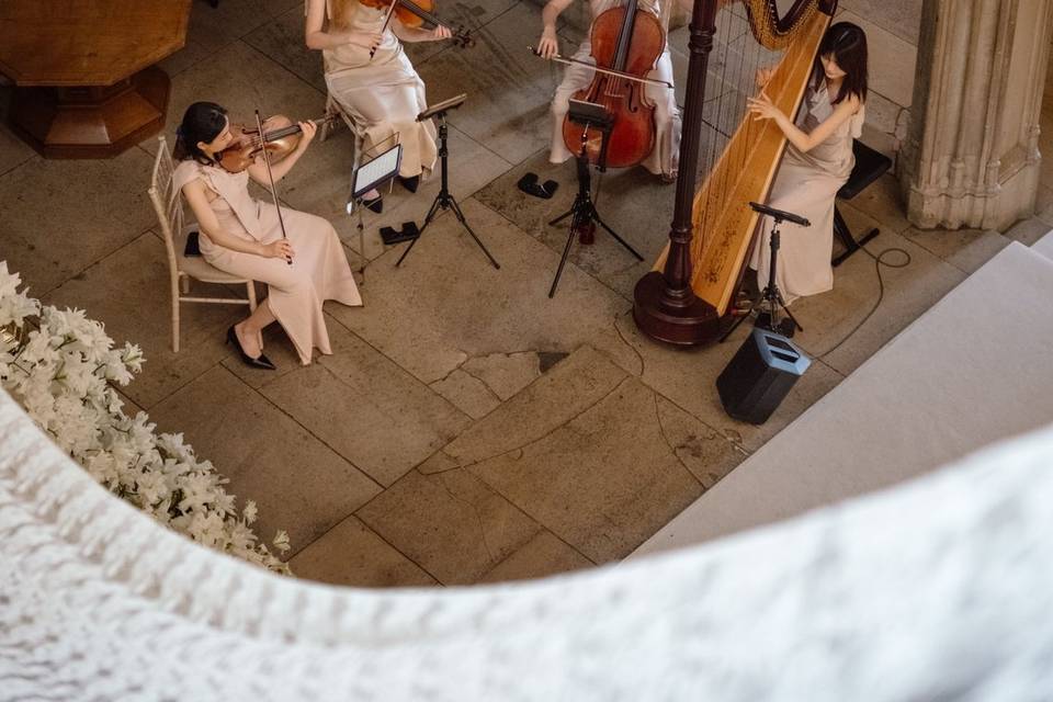 Wedding musician ashridge hous