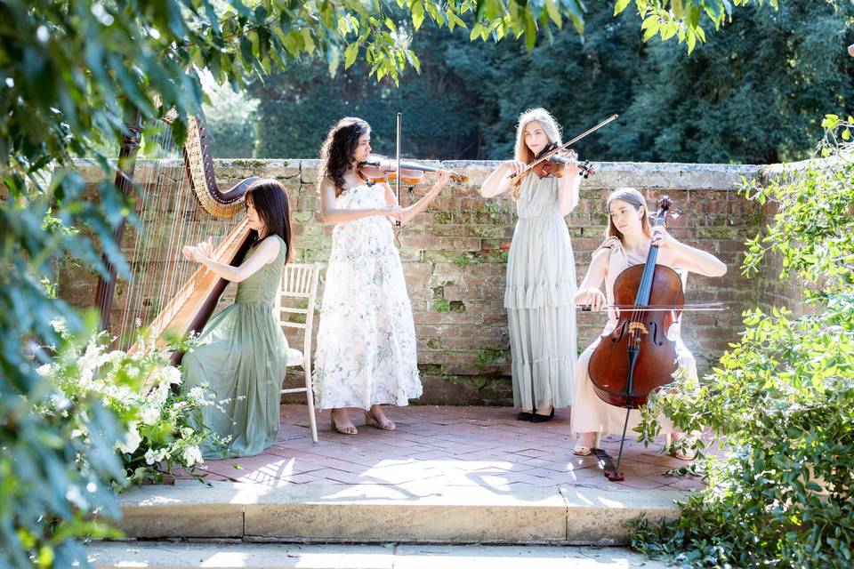 String quartet for wedding
