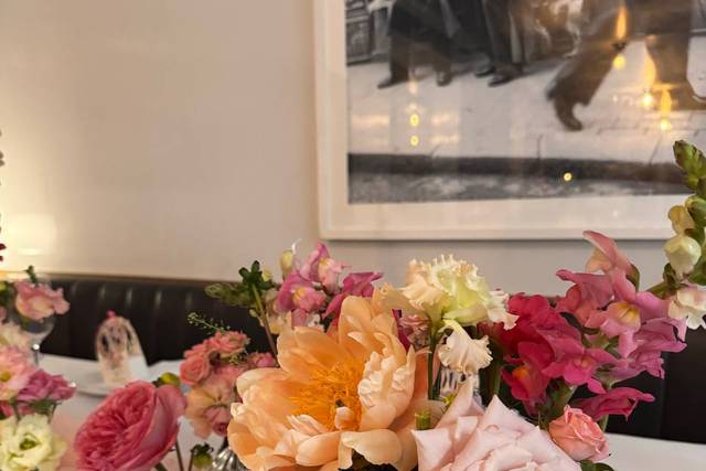 A&G Italian Greyhound