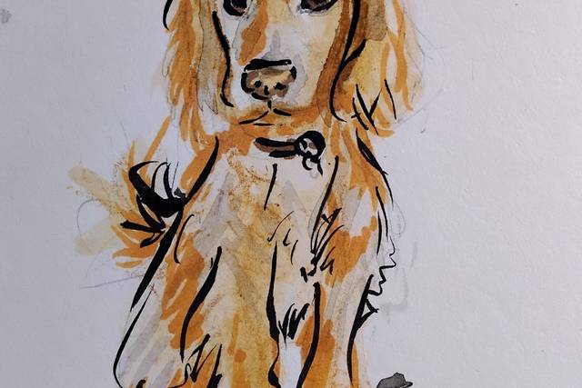 Beloved dog at vow renewal