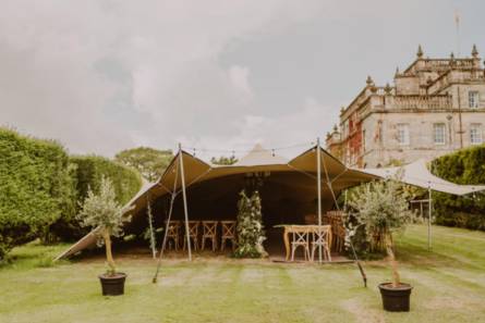 The Garden Canopy