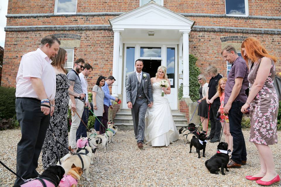 Dogs are Welcome at Shottle Hall