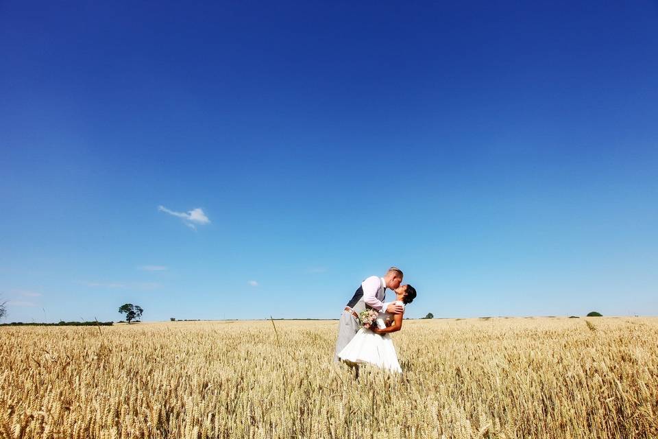 Blue Skies and Corn Fields