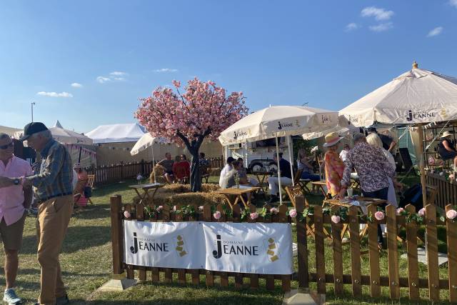 In a summer wine garden