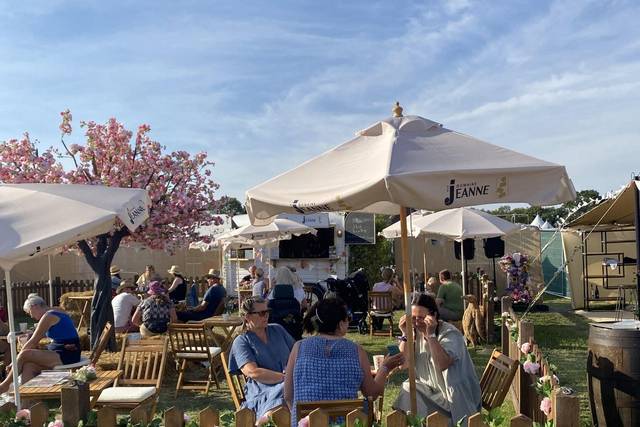 In a summer wine garden