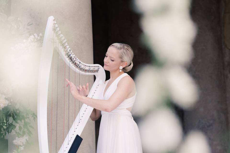 The harpist