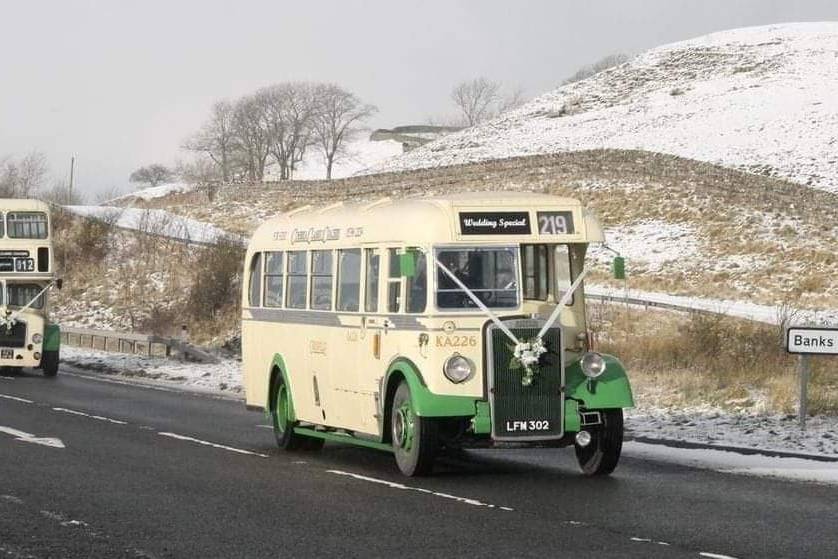 Cream 1949 Leyland on the road