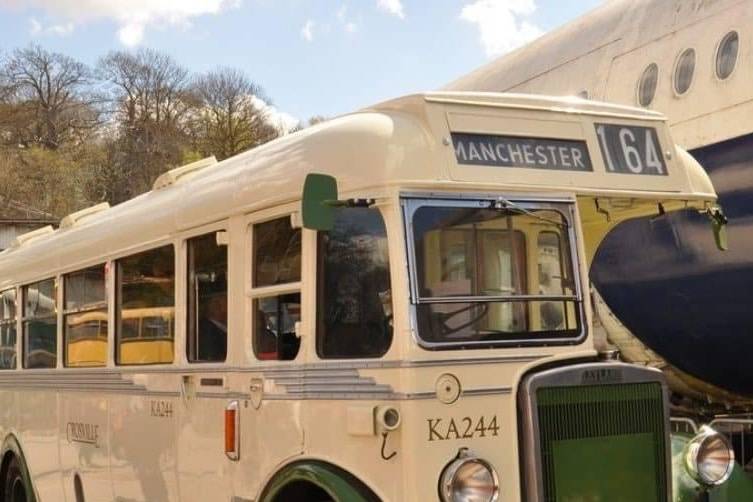 Cream 1949 Leyland side view