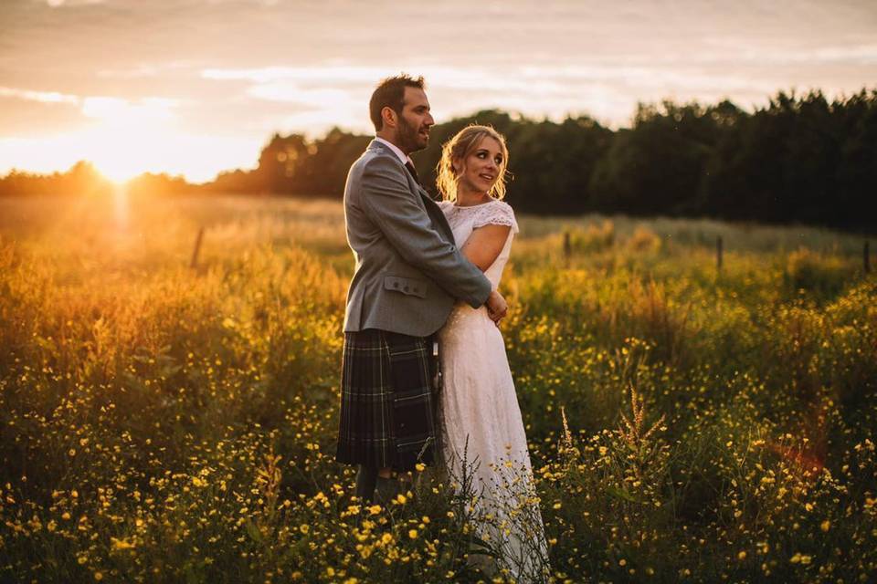 Sunset in the meadow