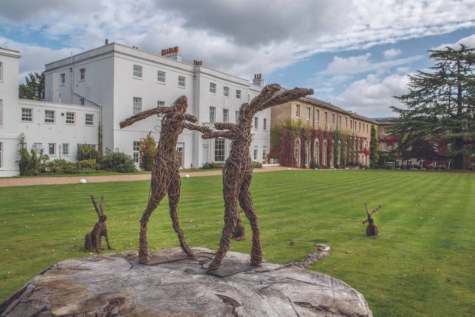 Hares at Beaumont Estate