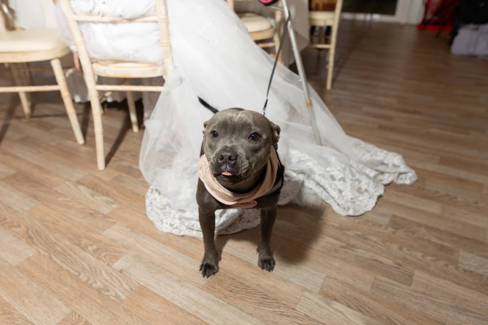 2025 summer wedding
