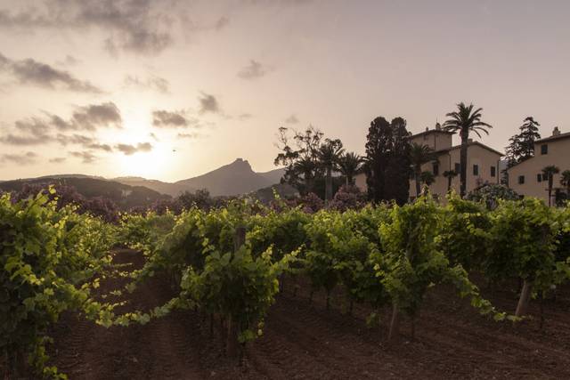 Tenuta la Chiusa