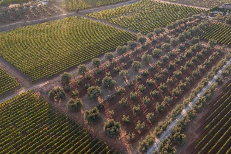 Tenuta la Chiusa