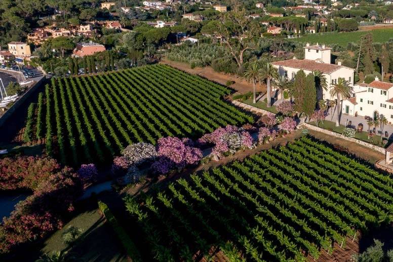 Tenuta la Chiusa
