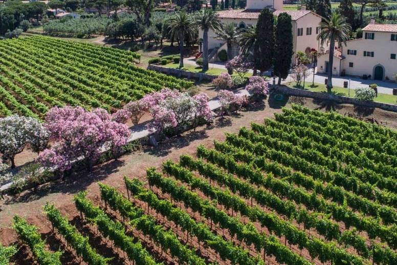 Tenuta la Chiusa