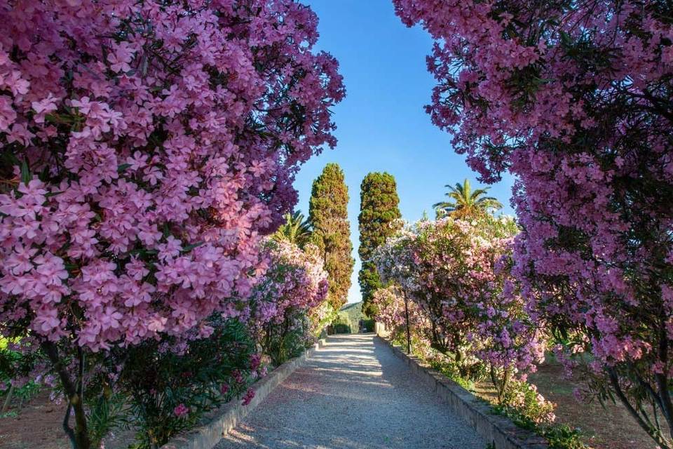 Tenuta la Chiusa